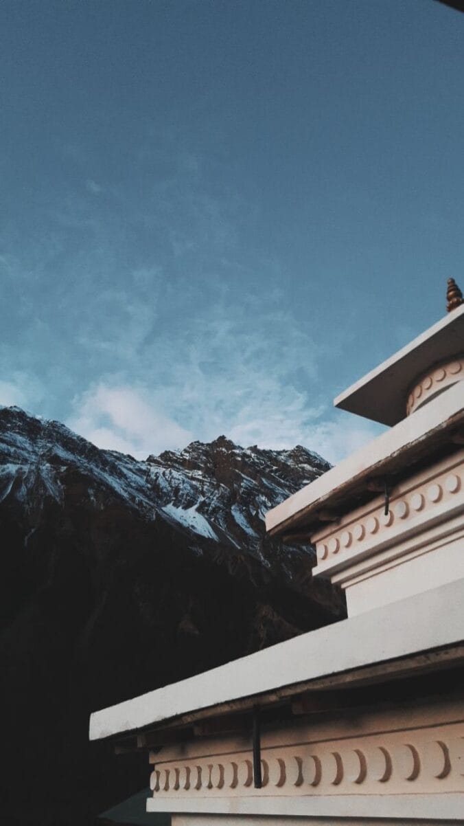 Beginner photography tips: capturing a photo using natural light